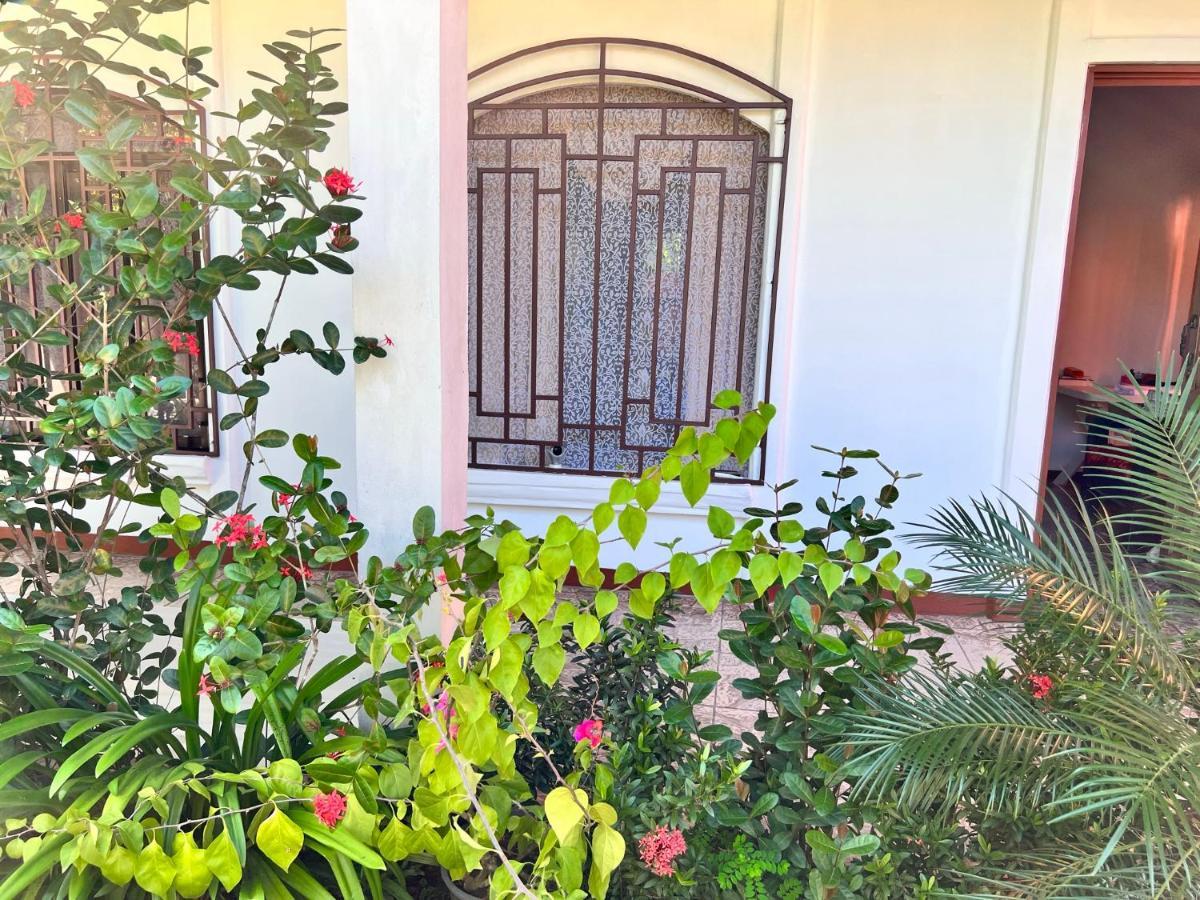 Natural Experience House Тортугеро Екстер'єр фото