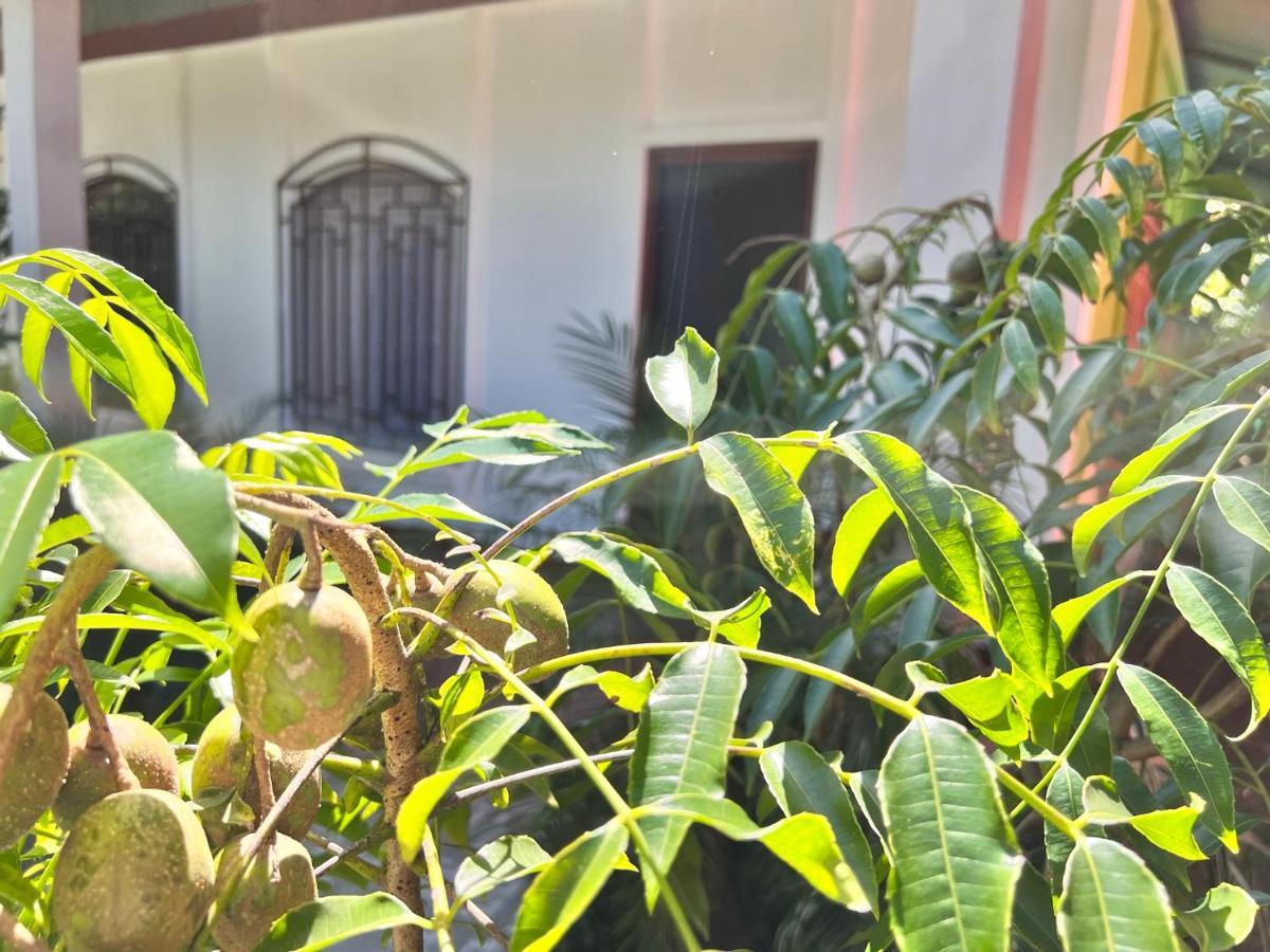 Natural Experience House Тортугеро Екстер'єр фото